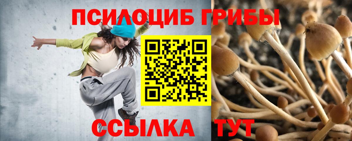 Советская Гавань  даркнет сайт  Вход с VPN  Галлюциногенные грибы Psilocybine cubensis 